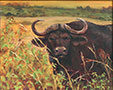 Morag Webster Art - Africa Series Image
